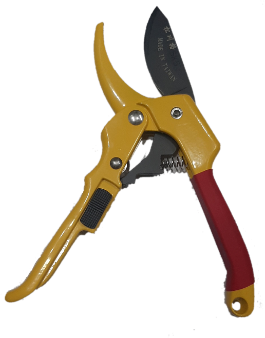 Imported flower cutter – Pruning shears